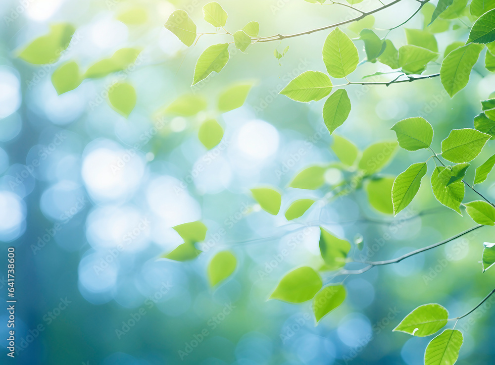 Spring background, green tree leaves on a blurred background Spring background, green tree leaves on a blurred background