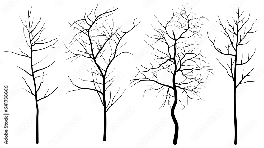 Fototapeta premium black deciduous tree collection