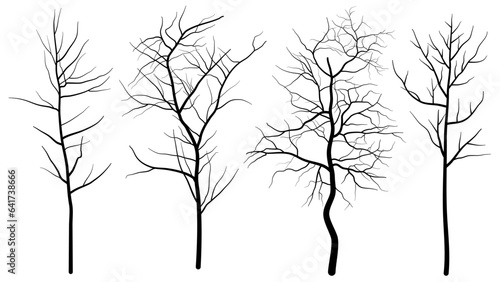 black deciduous tree collection