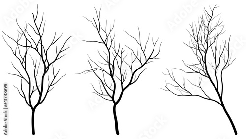 black deciduous tree collection