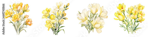 Freesia Botanical View On A Clean White Background Soft Watercolour Transparent Background