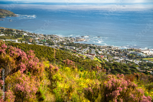 View of Camps bay from Kloof Corner hike at sunset in Cape Town, Western Cape, South Africa