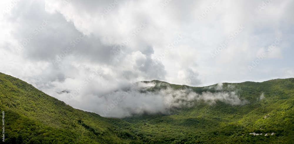 heavy mist between mountains and forest in the woods of montenegro