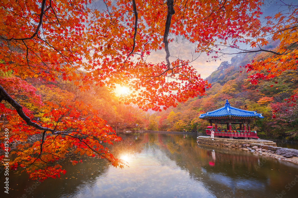 A pavilion in the middle of a small embankment at sunset and colorful autumn leaves at Naejangsan national park, South Korea.