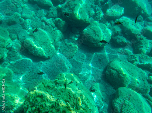 Vista subacquea di Taormina con pesci 2368 © bellux