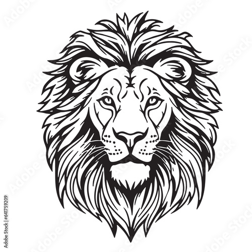 Lion head cartoon hand drawn sketch Vector Safari animals