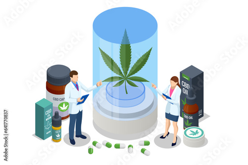 Isometric testing cannabis buds for the extraction of medicinal oil. Herbal alternative medicine, cbd oil, pharmaceptical industry