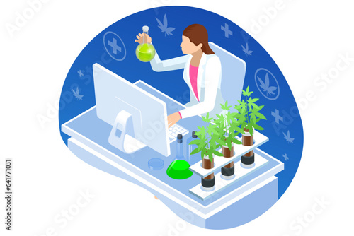Isometric testing cannabis buds for the extraction of medicinal oil. Herbal alternative medicine, cbd oil, pharmaceptical industry Cbd hemp oil