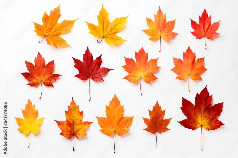 autumn leaves background autumn leaves background