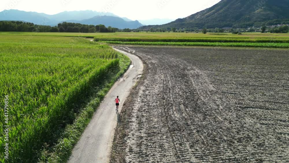 A Woman Jogging at Sunset in the Countryside, in Summer, Aerial View A Woman Jogging at Sunset in the Countryside, in Summer, Aerial View