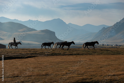 Caballos al viento