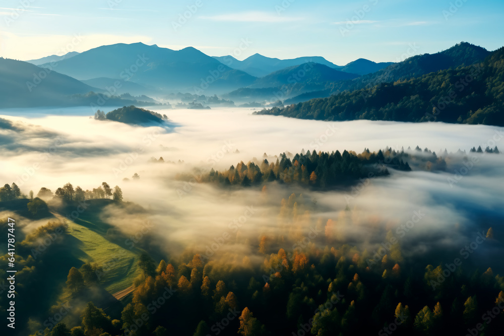 Summer foggy forest top view. Green leaves of trees, forest and mountains.
