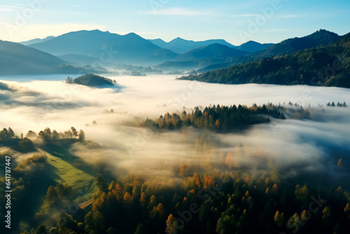 Summer foggy forest top view. Green leaves of trees, forest and mountains.