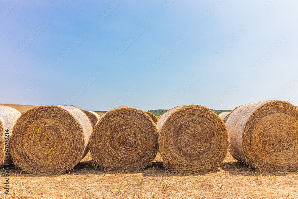 Farm field with hay bales Farm field with hay bales