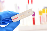 Dengue virus positive test result by using rapid test device