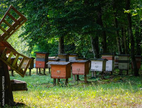 The forest ecological apiary. 