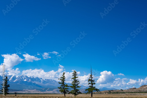 Beautiful landscape with snow-capped mountains on a sunny day, blue sky with clouds, coniferous trees in the foreground