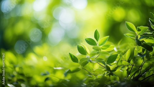 Close up of nature view green leaf on blurred greenery background