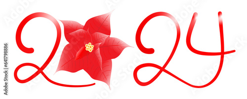 2024 Adventsstern Weihnachtsstern