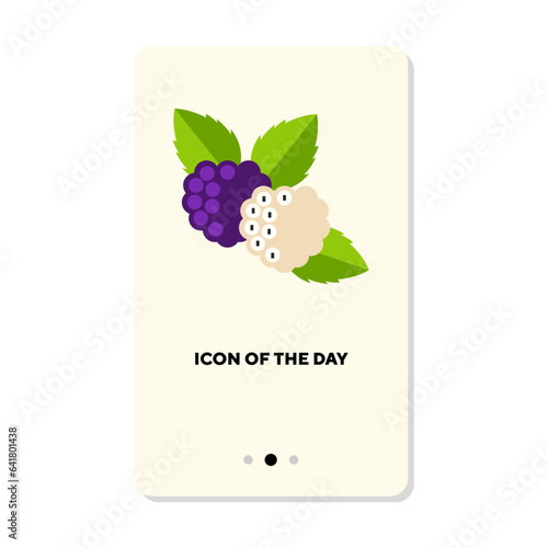Brambles isolated on white. Berry fruits cartoon illustration. Food and ingredients concept. Vector illustration symbol elements for web design and apps