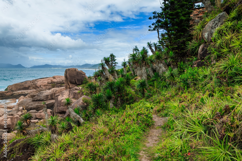 Coastline, trail path with plants and ocean in Brazil.