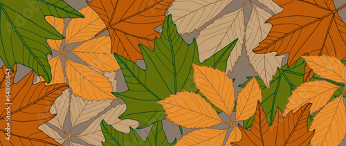 Bright autumn botanical background with different leaves. Background for decor, wallpapers, covers, postcards and presentations.