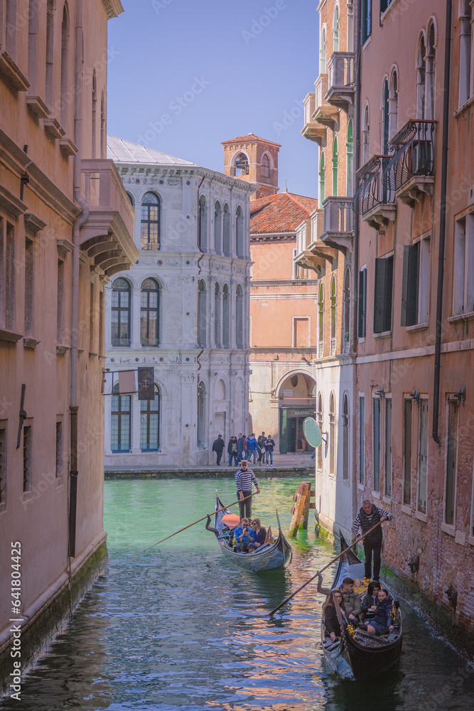 Venetian Gondolier Navigating the Green Waters: A Serene View of Venice's Canals