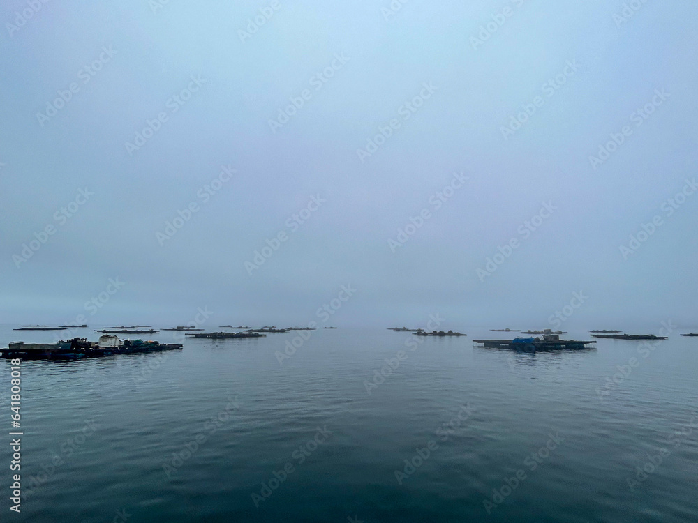 Mist-veiled Bateas in Ria de Pontevedra: A Captivating Foggy Day Scene in Galicia's Aquaculture Fields