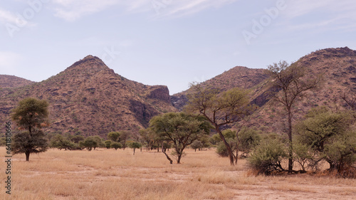View of the beautiful Okapuka Ranch near Namibia’s capital Windhoek, Namibia