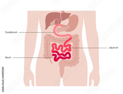 Tiny intestine poster