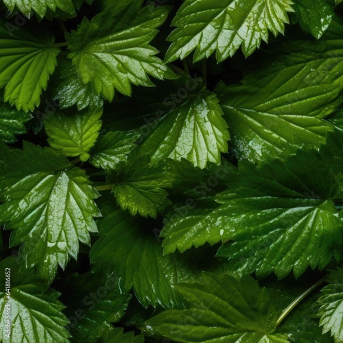 Nettles as seamless tiles