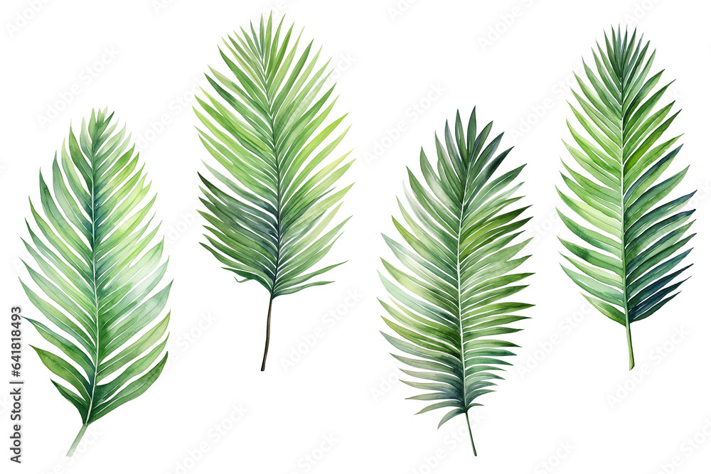 Set of watercolor painting of palm leaves isolated on a white background. Watercolor vector illustration. Generative AI Set of watercolor painting of palm leaves isolated on a white background. Watercolor vector illustration. Generative AI