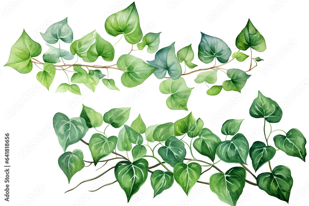 Watercolor painting of green ivy leaves isolated on a white background. Watercolor hand painted illustration. Tropical plants for beautiful design. Generative AI - obrazy, fototapety, plakaty 