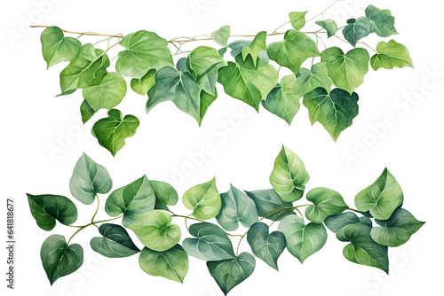 Photo Watercolor painting of green ivy leaves isolated on a white background
