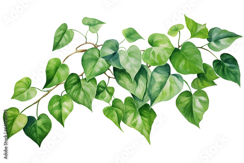 Watercolor painting of green ivy leaves isolated on transparent background. Watercolor hand painted illustration. Tropical plants for beautiful design. Generative AI