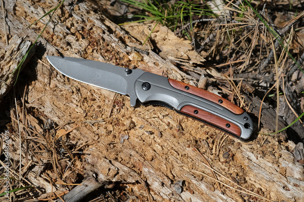 Obraz premium Folding knife for survival lies on rotten tree.