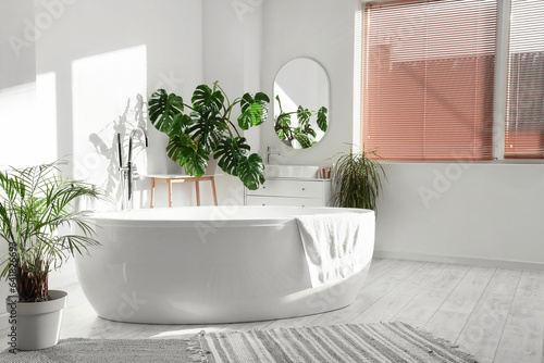 Interior of light bathroom with bathtub and Monstera houseplant