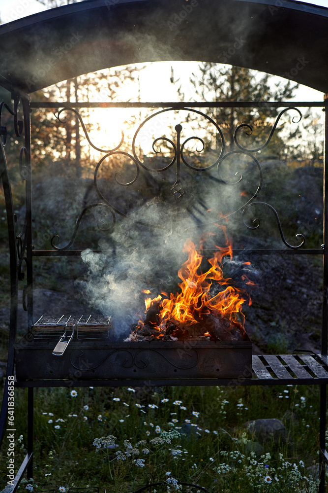 fire in the fireplace