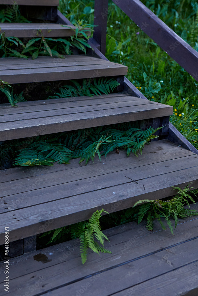 Wooden stairs