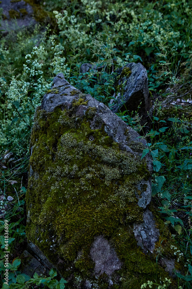 moss covered rock