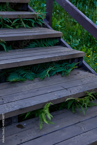 Obraz na płótnie Wooden stairs w salonie