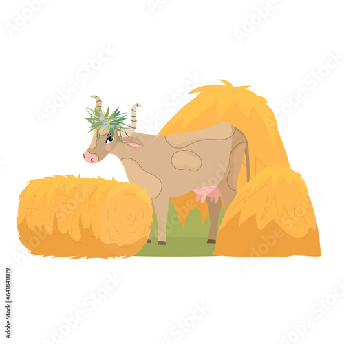 Cow with haystack. Cute cow standing among hay from farm. Hay stack on white background. Vector illustration