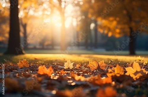 Autumn sunset beautiful landscape,sun beam ,orange trees and colorful leaves on nature ,season 