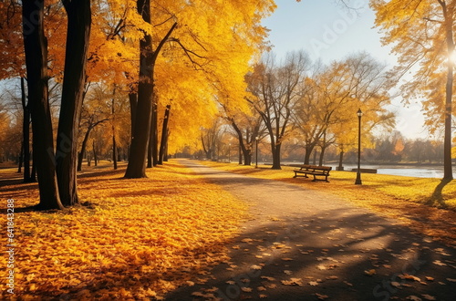 Autumn sunset beautiful landscape,sun beam ,orange trees and colorful leaves on nature ,season 