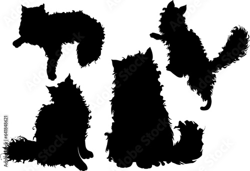 Dirty cat flat vector illustration. Unhappy cat in the mud. Untidy, dirty cat