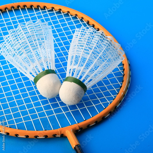 The badminton
