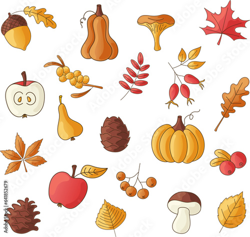 Set of autumn season elements. Collection of fall harvest festival or thanksgiving elements: maple leaf, pumpkin, berries and fruits. Color vector illustration.