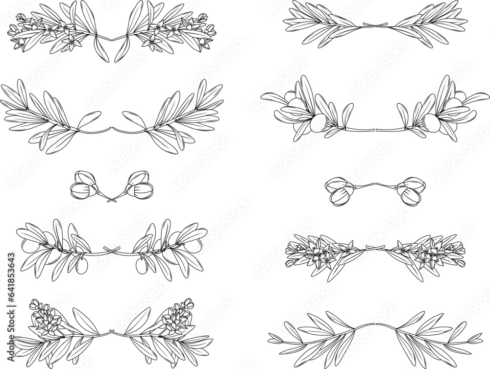 Naklejka premium Set of hand drawn olive borders in minimal line art style, floral text dividers for label, corporate identity, wedding invitations and cards