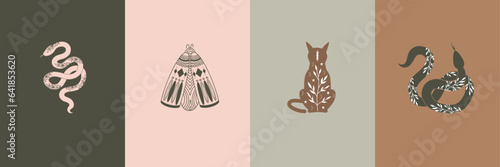 Vector set of mystical celestial moths, snakes and cat, mystical animal illustrations, pre-made logo set