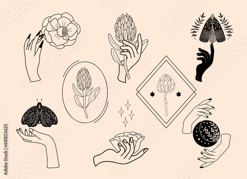 Set of mystical illustrations, magic objects, female witchy hands with mystical moths, magic flowers, sacral esoteric symbols